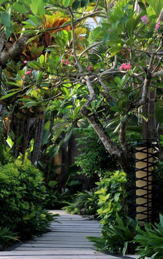 Sagara Villas And Suites Sanur By Ahm Exterior foto Ficus elastica